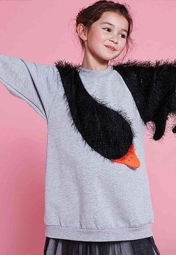 Cat1Img